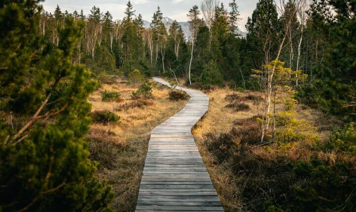 Getting started with a mindfulness practice